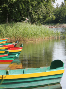 Bunte Boote in einem ruhigen Teich