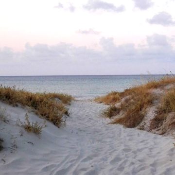 Baltischer Strand